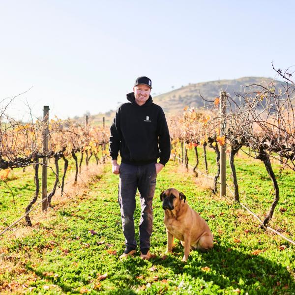 新南威尔士州瓦拉鲁拜里达拉山酒庄，一名男子在葡萄园里遛狗 © 堪培拉观光局版权所有