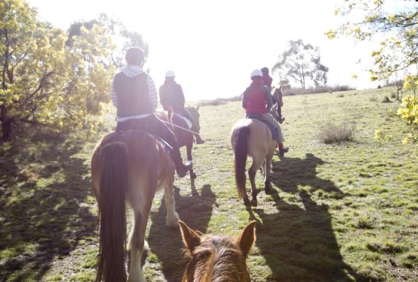 澳大利亚首都领地，堪培拉，Burnelee Excursions © 堪培拉观光局版权所有