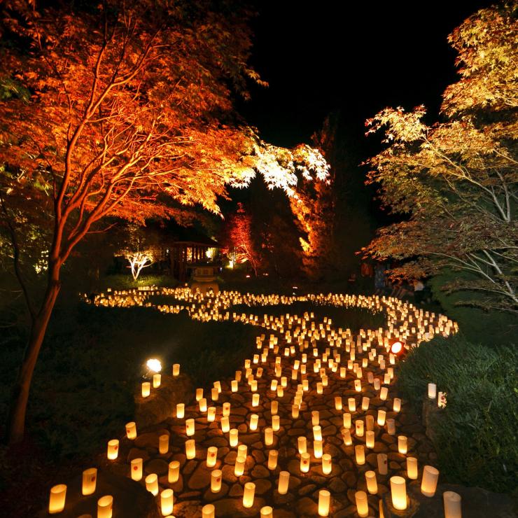 堪培拉，伦诺克斯花园蜡烛节 © 堪培拉观光局版权所有