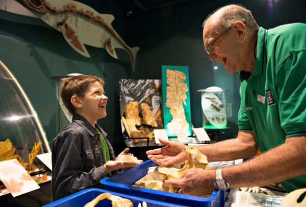在北领地博物馆及艺术馆，一名游客在一名志愿者的帮助下参观骸骨 © 北领地旅游局/Shaana McNaught 版权所有
