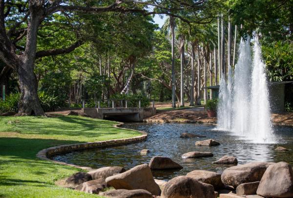 在乔治布朗达尔文植物园漫步 © 北领地旅游局/Shaana McNaught 版权所有