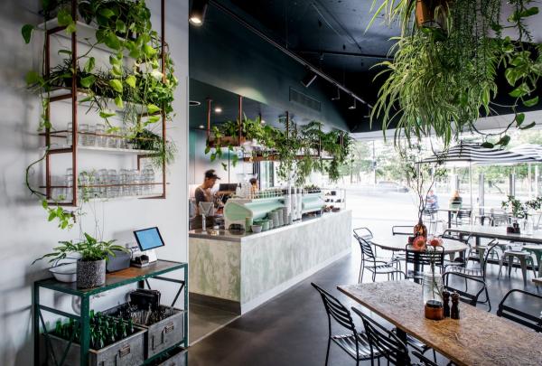 昆士兰州，黄金海岸，宽滩，Elk Espresso © Elk Espresso / Cathy Schusler 版权所有