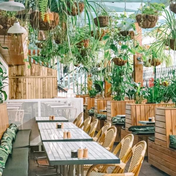  昆士兰州，黄金海岸，波丽台，Social Brew © Social Brew 版权所有