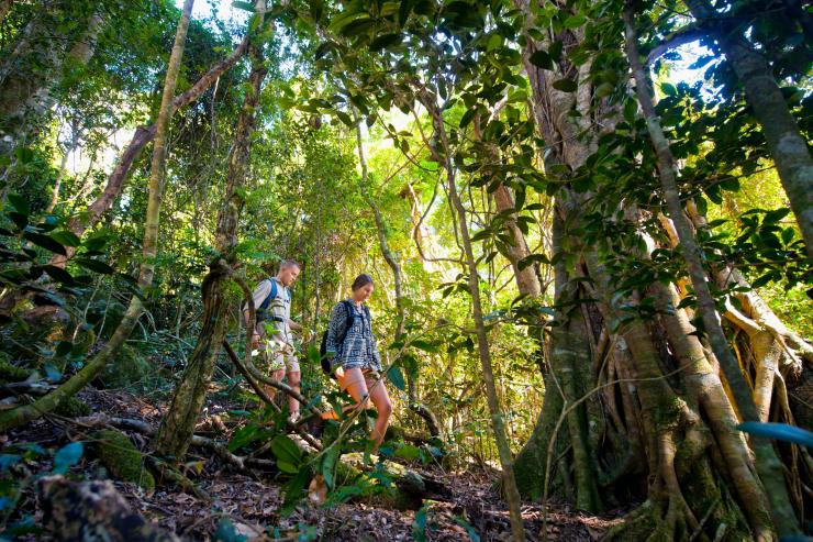 昆士兰州，雷明顿国家公园（Lamington National Park），奥莱利雨林度假村（O’Reilly’s Rainforest Retreat）© 奥莱利雨林度假村版权所有