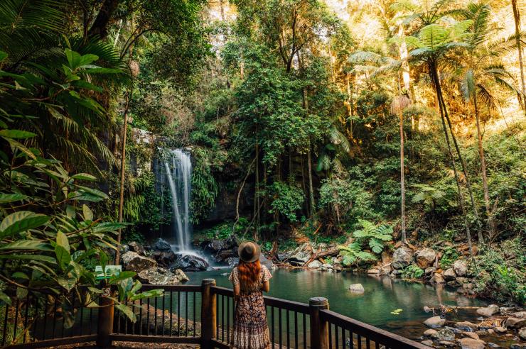 昆士兰州，坦伯林国家公园（Tamborine National Park），科提斯瀑布（Curtis Falls）© 昆士兰州旅游及活动推广局版权所有
