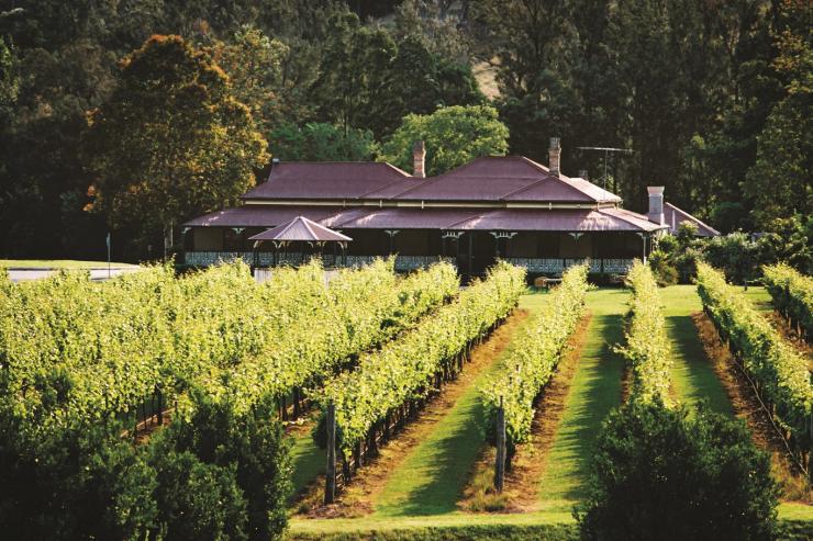 昆士兰州，奥莱利斯卡伦格拉山谷葡萄园（O'Reilly's Canungra Valley Vineyard）© 奥莱利斯卡伦格拉山谷葡萄园版权所有