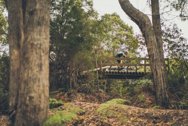 塔斯马尼亚州，企鹅镇，Penguin MTB Park © Flow Mountain Bike 版权所有