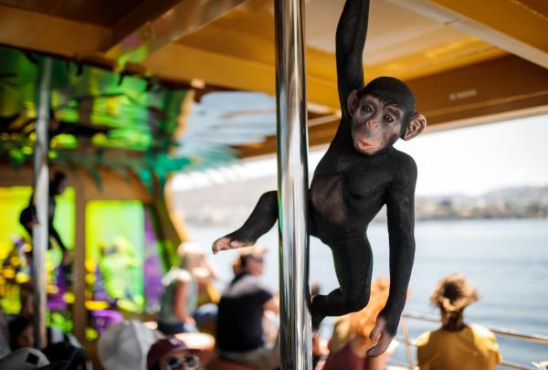 塔斯马尼亚州，霍巴特，Mona Roma 渡轮 © Mona 和 Jesse Hunniford 版权所有