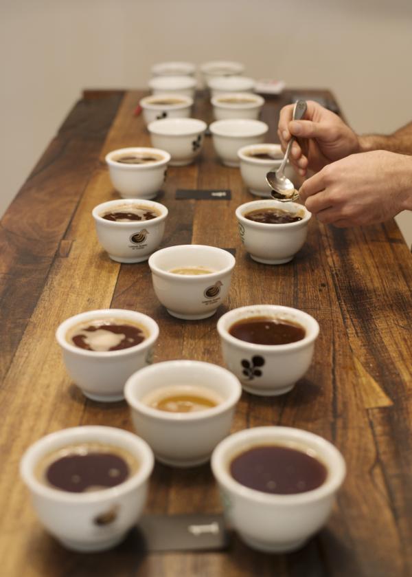 墨尔本，帕拉罕 Market Lane 的咖啡 © 维多利亚州旅游局版权所有