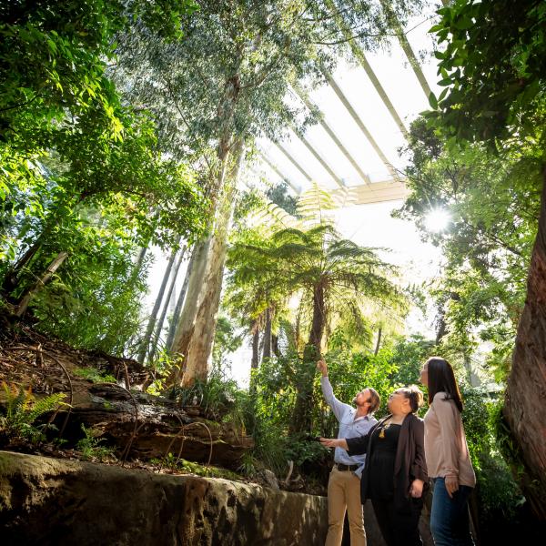 墨尔本博物馆的 Bunjilaka 原住民文化中心 © 墨尔本博物馆版权所有