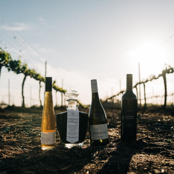 西澳大利亚州天鹅谷，橄榄农场酒庄的葡萄地 © Boomtown Pictures 版权所有