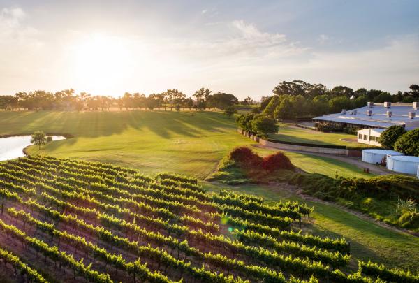  天鹅谷的桑德尔福德酒庄 © Joel Barbitta DMAX Photography 版权所有