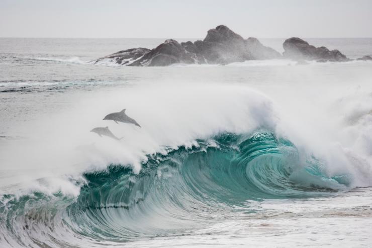 西澳大利亚州，玛格丽特河（Margaret River），海角步道（Cape to Cape Track） © Elements Margaret River