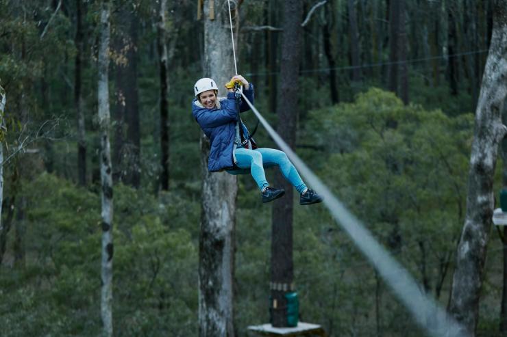 西澳大利亚州，玛格丽特河地区，勒德洛森林，Forest Adventures 缘绳速降 © Tim Campbell 版权所有