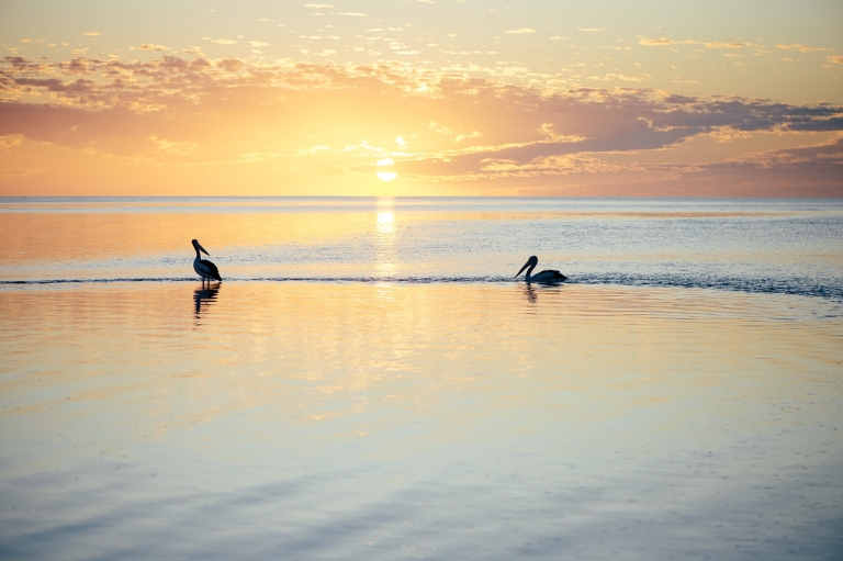 西澳大利亚州，珊瑚海岸，猴子米亚 © 西澳大利亚州旅游局版权所有