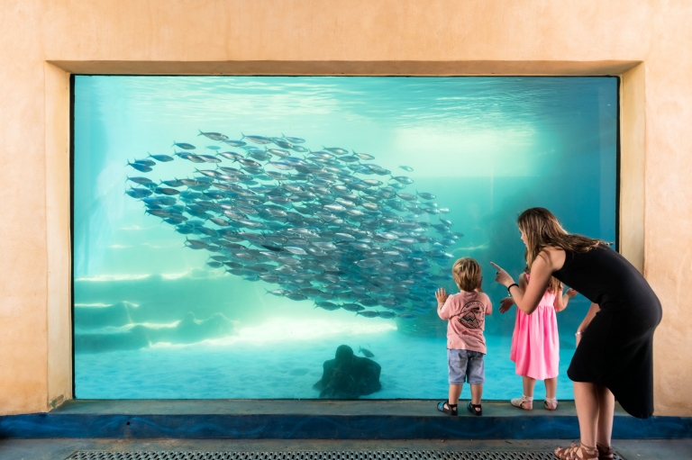 西澳大利亚州，珀斯，西澳大利亚水族馆 © AQWA 版权所有