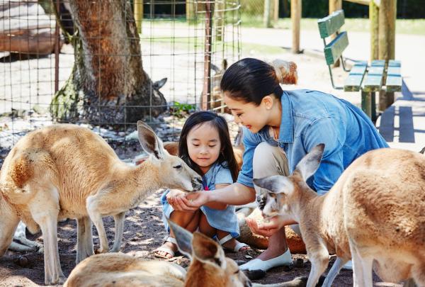 西澳大利亚州，天鹅谷，凯维森野生动物园 © 西澳大利亚州旅游局版权所有