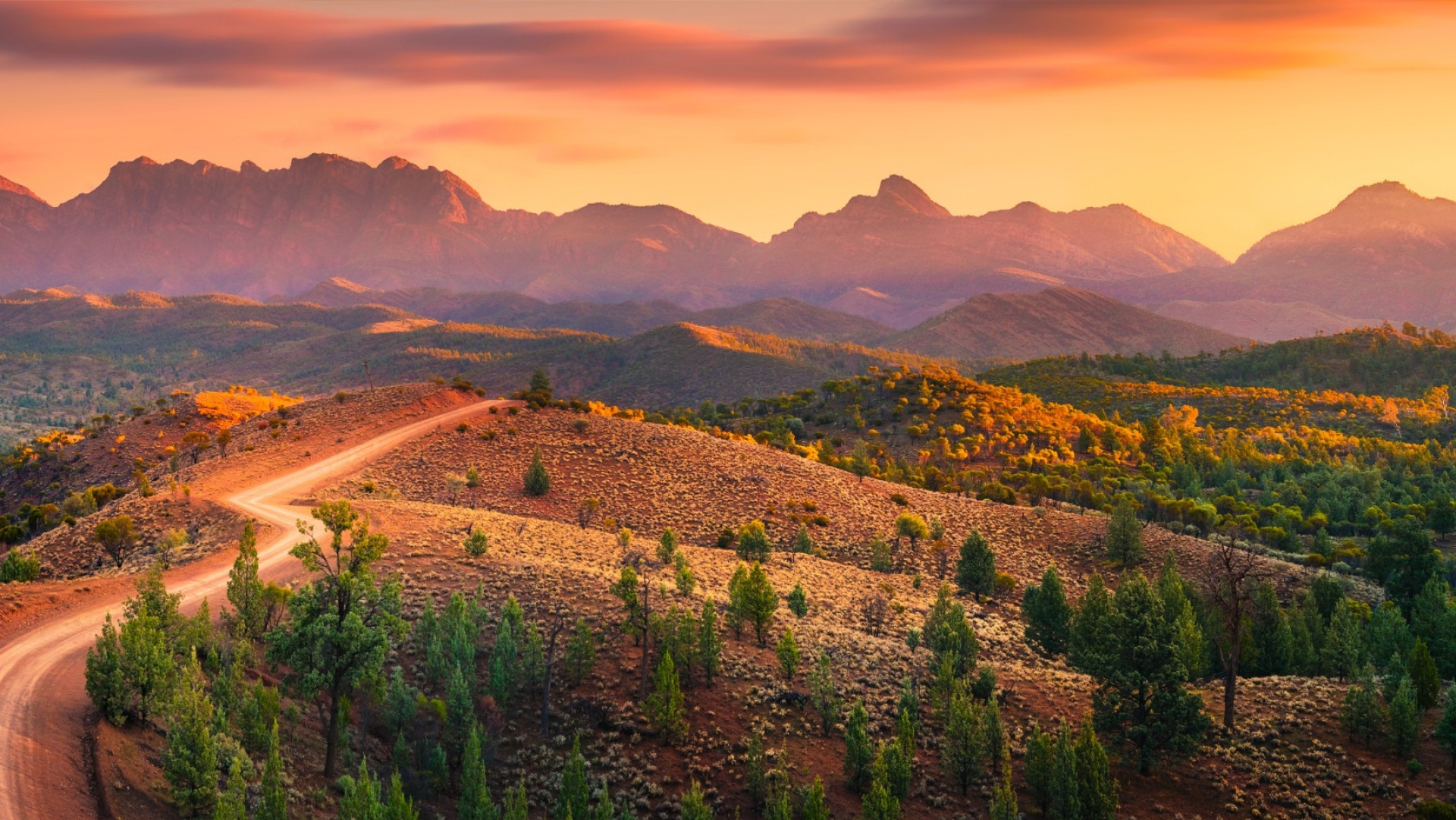 南澳大利亚州，弗林德斯山脉，邦叶鲁谷 © Ben Goode 版权所有