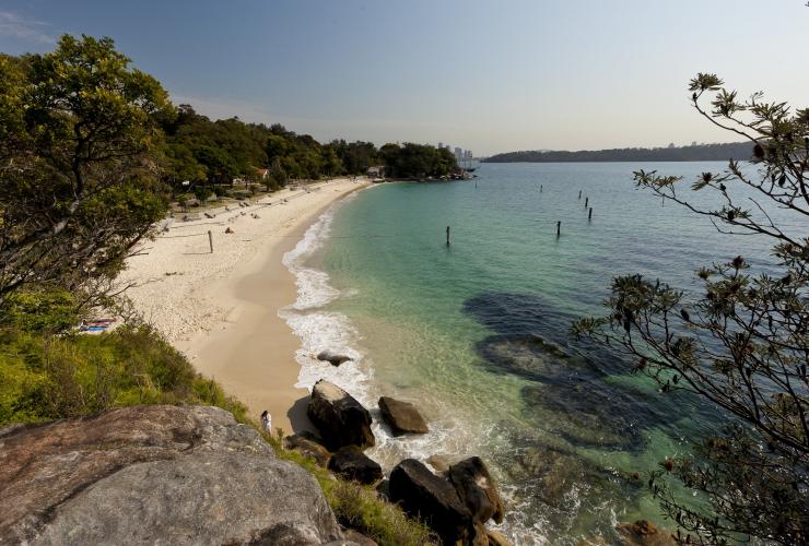悉尼尼新园海滩的鲨鱼海滩 © Andrew Gregory/新南威尔士州旅游局版权所有