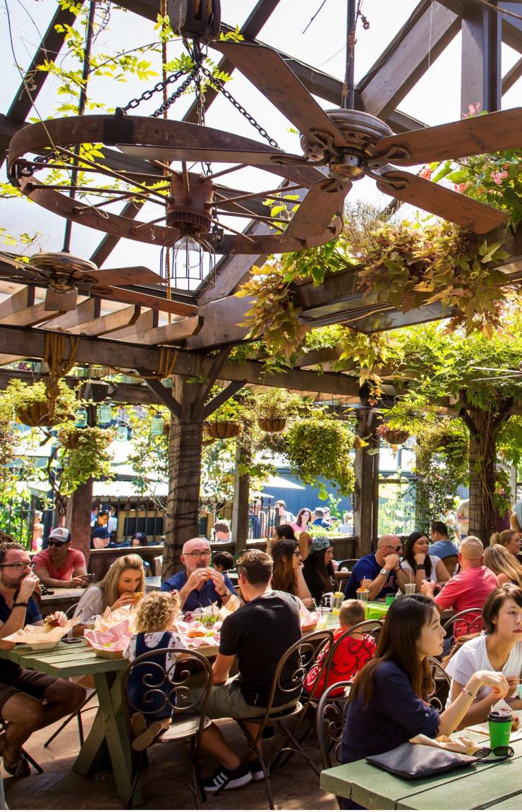 新南威尔士州,亚历山德里亚,The Grounds of Alexandria © 新南威尔士州旅游局版权所有 新南威尔士州,亚历山德里亚,The Grounds of Alexandria © 新南威尔士州旅游局版权所有