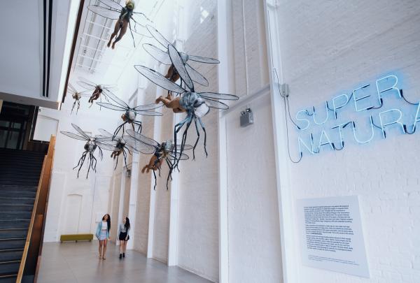 新南威尔士州，悉尼，齐本德尔，在白兔美术馆举办的 SUPERNATURAL 艺术展 © 新南威尔士州旅游局版权所有