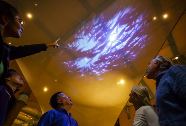 新南威尔士州，悉尼，澳大利亚博物馆，最早的澳大利亚人展馆 © 澳大利亚旅游局，Archie Sartracom 版权所有