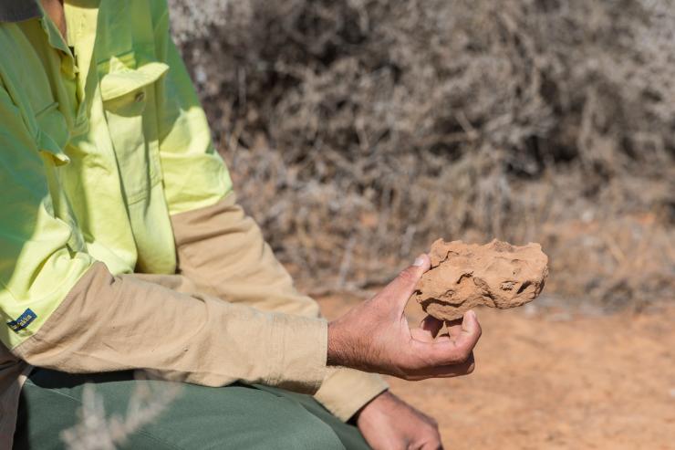 新南威尔士州,威尔兰德湖世界遗产区,蒙哥国家公园 © John Spencer/DPE 版权所有 新南威尔士州,威尔兰德湖世界遗产区,蒙哥国家公园 © John Spencer/DPE 版权所有