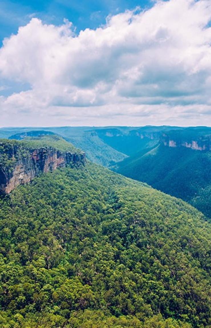 新南威尔士州,蓝山 © 新南威尔士州旅游局版权所有 新南威尔士州,蓝山 © 新南威尔士州旅游局版权所有