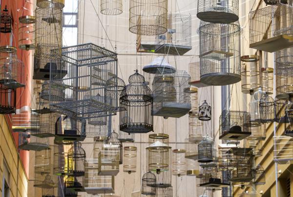 新南威尔士州，悉尼，天使广场，被遗忘的旋律 © Brendan Read/悉尼市政府版权所有