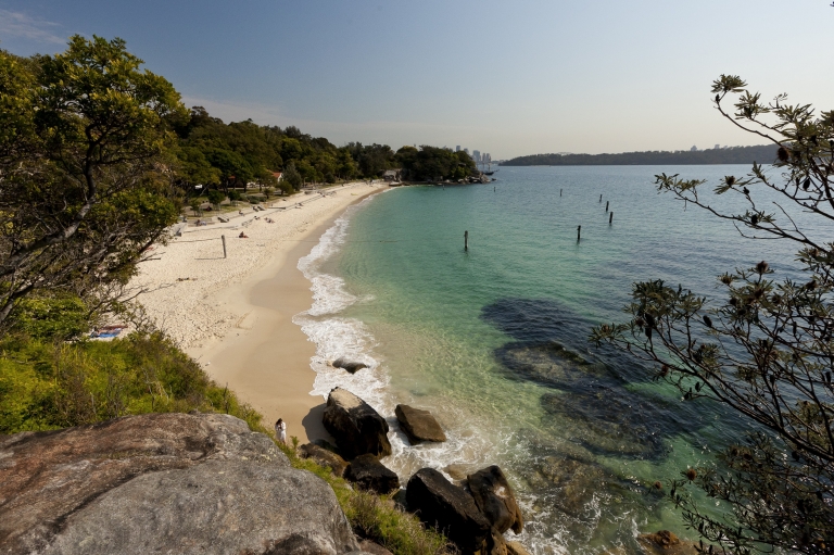 新南威尔士州，悉尼，尼新园海滩，鲨鱼海滩 © Andrew Gregory/新南威尔士州旅游局版权所有