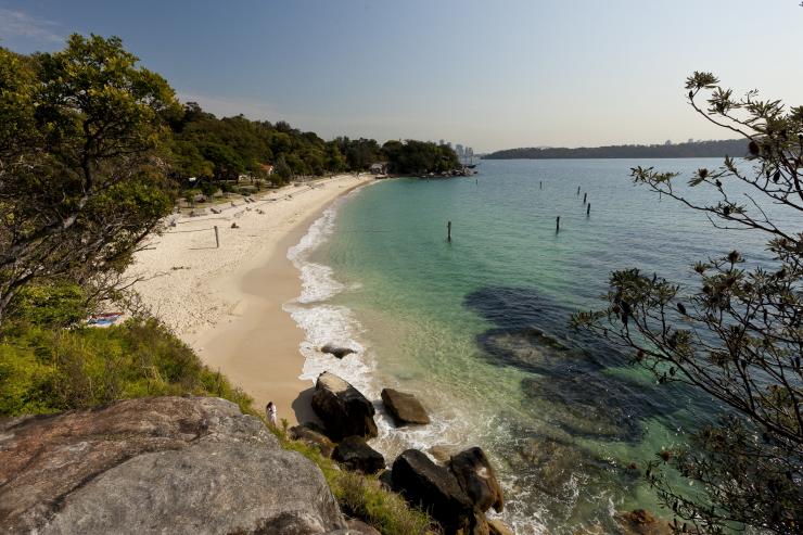 新南威尔士州，悉尼，尼新园海滩，鲨鱼海滩 © Andrew Gregory/新南威尔士州旅游局版权所有