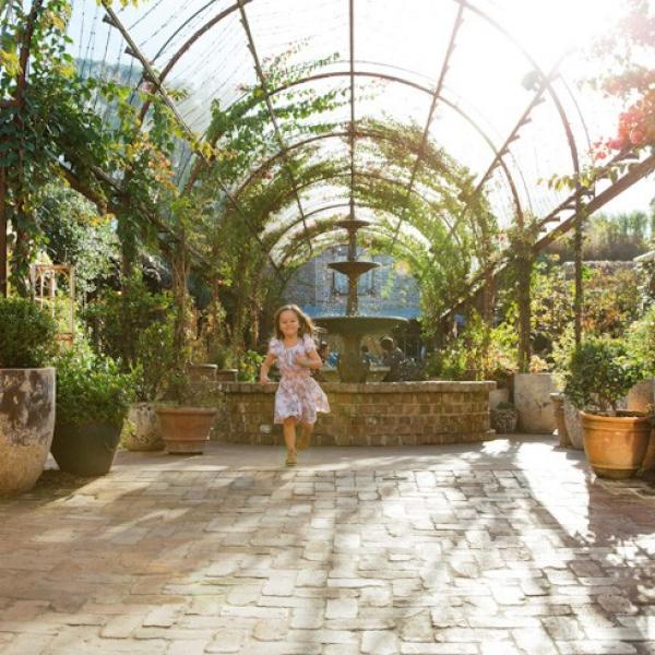 新南威尔士州，悉尼的 The Grounds of Alexandria © 新南威尔士州旅游局版权所有