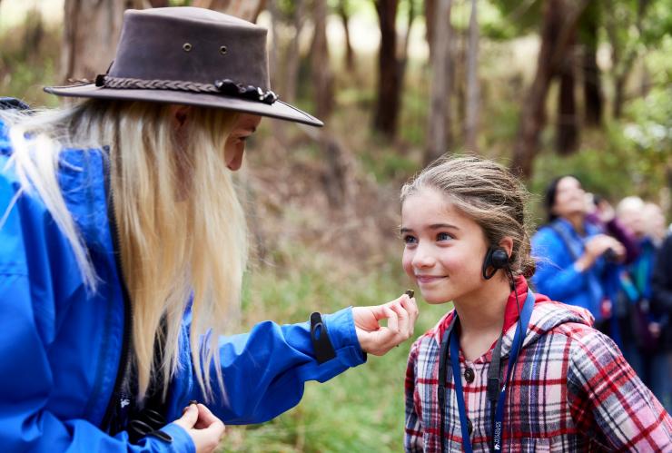 维多利亚州，大洋路，野生动物奇观，一个带着耳机的儿童和一位导游 © 澳大利亚旅游局/野生动物奇观版权所有