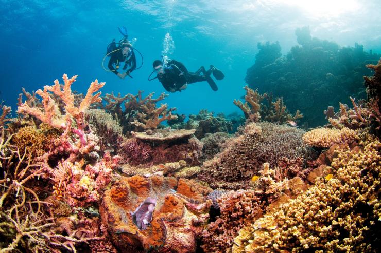 昆士兰州，摩顿岛，天阁露玛沉船（Tangalooma Wrecks）© Scott Pass 版权所有