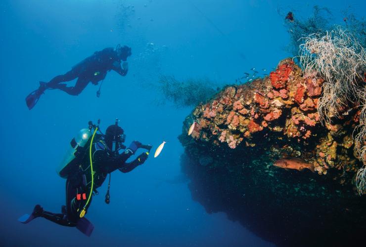 昆士兰州，大堡礁，“扬加拉”号沉船 © 昆士兰州旅游局版权所有