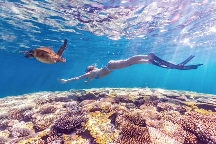 西澳大利亚州，在宁加洛珊瑚礁与海龟浮潜嬉戏 © 澳大利亚珊瑚海岸版权所有
