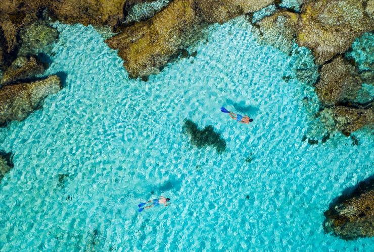 西澳大利亚州，罗特尼斯岛，在小鲑鱼湾浮潜 © 澳大利亚旅游局版权所有