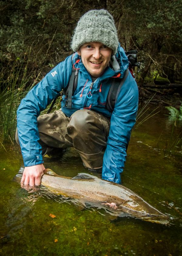 塔斯马尼亚州，棕鳟 © Riverfly 1864 版权所有