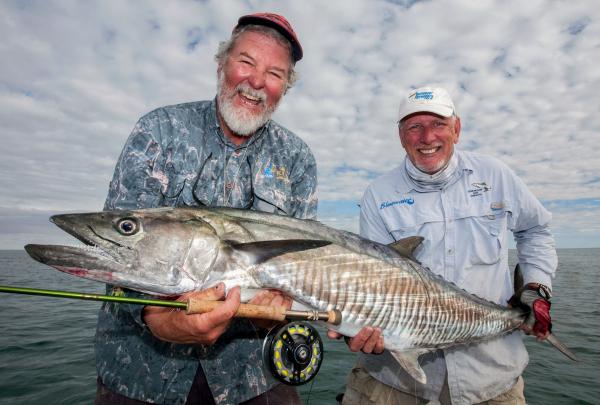 西澳大利亚州，西班牙鲭鱼 © Peter Morse 版权所有