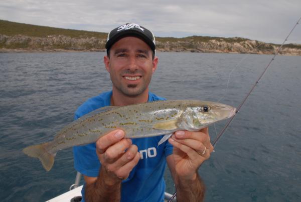 南澳大利亚州，乔治王鳕鱼 © Jamie Crawford 版权所有