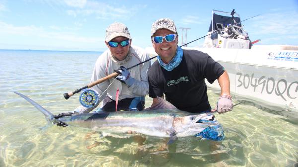昆士兰州，荷维湾，荷维湾飞钓和游钓 © 荷维湾飞钓和游钓版权所有