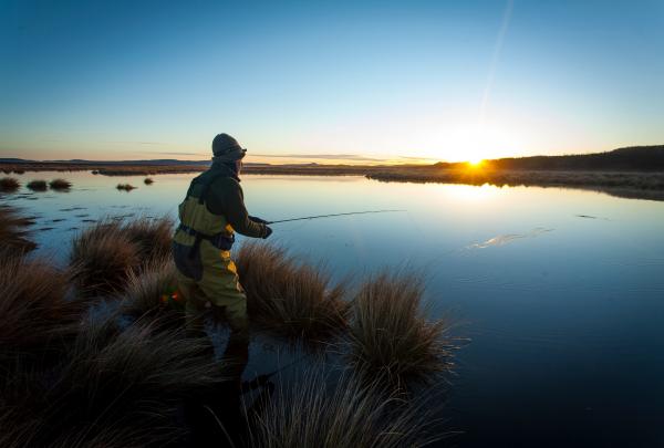 塔斯马尼亚，Liawenee，在千湖旅舍（Thousand Lakes Lodge）垂钓 © Brad Harris 版权所有