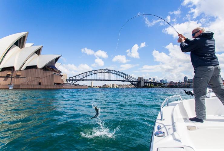 新南威尔士州，悉尼，悉尼飞钓 © Justin Duggan 版权所有