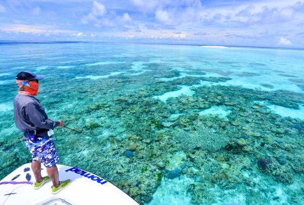 昆士兰州，大堡礁，海上游牧者垂钓探险 © 海上游牧者垂钓探险版权所有
