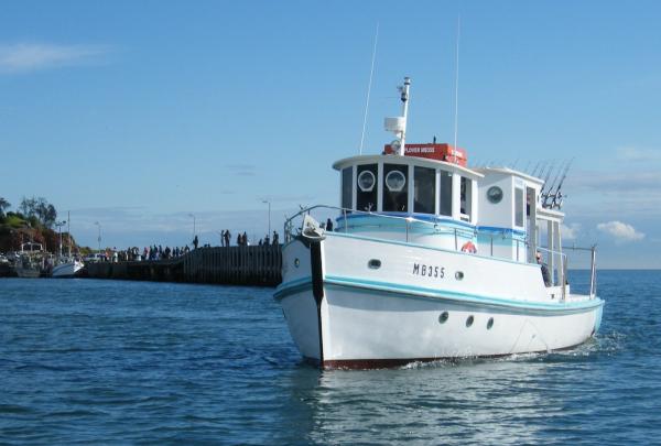 维多利亚州，摩林顿，湾区垂钓之旅 © 湾区垂钓之旅版权所有