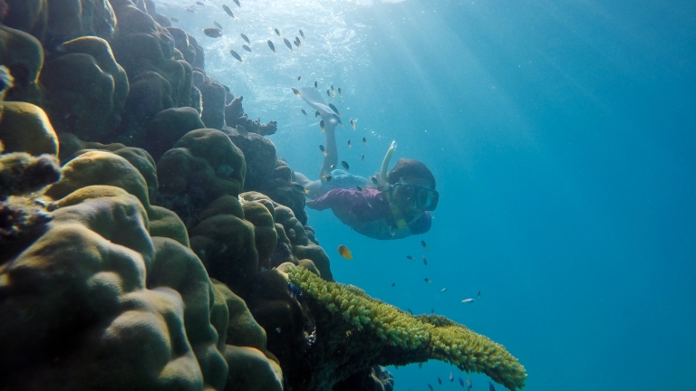 昆士兰州，凯恩斯（Cairns），大堡礁（Great Barrier Reef），儿童浮潜 © 昆士兰州旅游及活动推广局，AdventureMumma 版权所有
