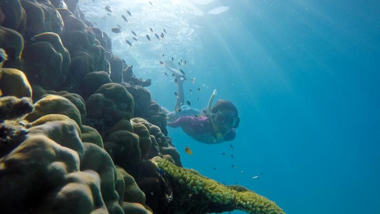 Kid Snorkelling Great Barrier Reef, Cairns, QLD © AdventureMumma, Tourism and Events Queensland