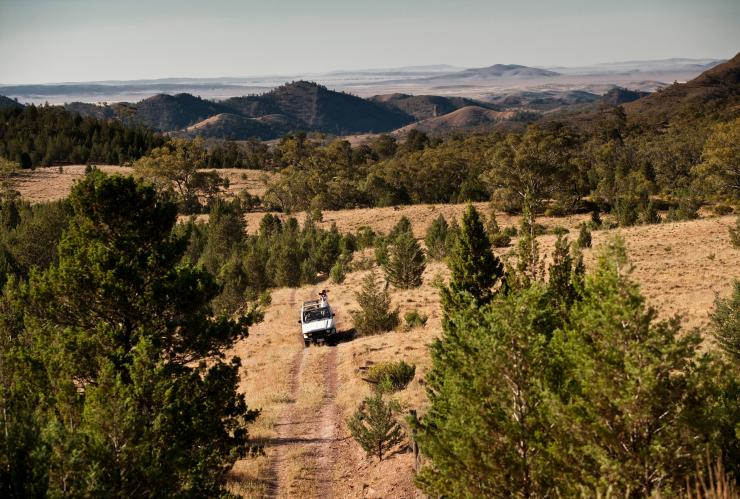 南澳大利亚州，弗林德斯山脉，自驾体验 © Wild Bush Luxury 版权所有