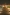 在原野星光展艺术作品间漫步的游客 © 北领地旅游局/Mitchell Cox 版权所有