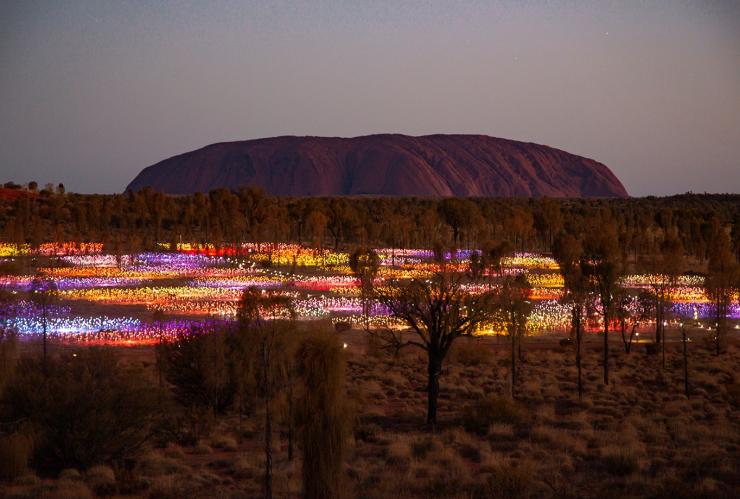 乌鲁鲁附近的原野星光展作品 © 澳大利亚旅游局版权所有